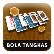 99platinumtgl.co
